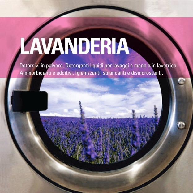 Lavanderia express dry clean